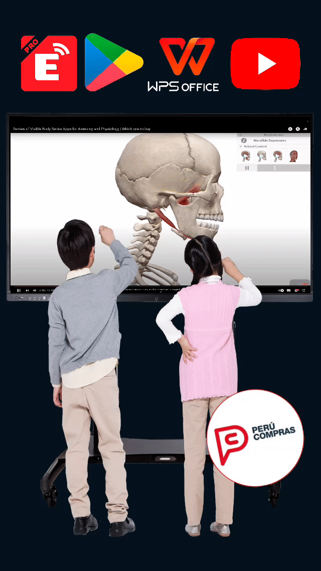 pantallas interactivas